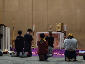 lourdes 2026 - St Felic-La Salles Nantes